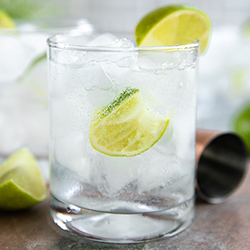 Gin and Tonic Cocktail Recipe