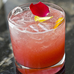 seabreeze cocktail